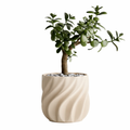 The TerraWave Planter